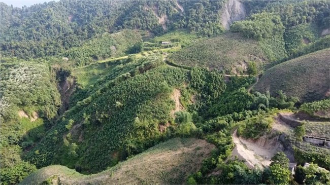 Chồng chéo đất rừng: Nhiều hộ dân ở Bảo Yên, Lào Cai, thiếu đất sản xuất (07/7/2023)
